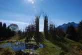 09 Cattedrale vegetale