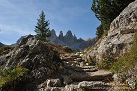 063872 Valle Sassovecchio - sentiero 102