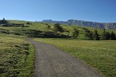 008 Alpe di Siusi