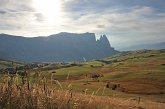 169 Alpe di Siusi - Altipiano dello Sciliar