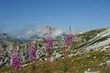 061107 Tre Cime di Lavaredo