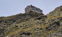 76 Zoom sul Rifugio Vedretta pendente