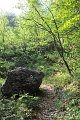 016 Sentiero dell Amicizia Monte Alben La Croce