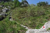 068 Sentiero dell Amicizia Monte Alben La Croce