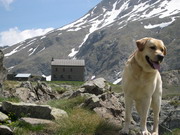 Devil, il Rifugio