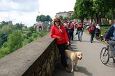 30 Gli Alpini a Bergamo