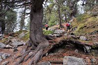 21 Pontresina Morterastch - Ghiacciaio del Morteratsch Capanna Boval