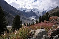 27 Pontresina Morterastch - Ghiacciaio del Morteratsch Capanna Boval