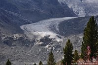 28 Pontresina Morterastch - Ghiacciaio del Morteratsch Capanna Boval