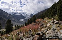 30 Pontresina Morterastch - Ghiacciaio del Morteratsch Capanna Boval