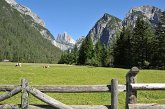 002 Le Tre Cime di Lavaredo viste dalla Val di Landro