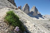 116 Tornando alla Forcella di Lavaredo