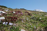 30 Sentiero Rifugio Capanna 2000