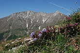 35 Sentiero Rifugio Capanna 2000