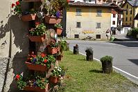 067 Una Montagna di Fiori a Oltre il Colle