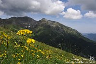 002 Sentiero dei fiori