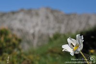 006 Sentiero dei fiori