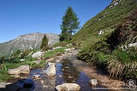 012 Sentiero dei fiori