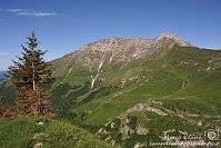 017 Sentiero dei fiori - Cima Menna