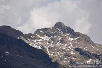 061 Sentiero dei fiori