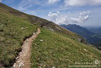 085 Sentiero dei fiori