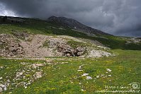 099 Sentiero dei fiori