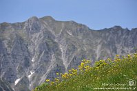 100 Sentiero dei fiori