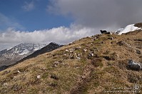 40 Zambla alta - Cima Grem - sentiero 223