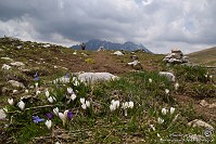 63 Zambla alta - Cima Grem - sentiero 223