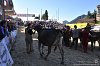 107 Fiera Zootecnica di Serina 2019