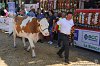 200 Fiera Zootecnica di Serina 2019