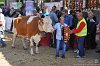 201 Fiera Zootecnica di Serina 2019