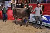 324 Fiera Zootecnica di Serina 2019